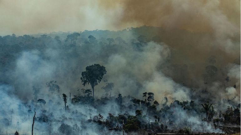 Le brûlis à l'origine des feux en Amazonie : entre tradition et utilisation déraisonnable