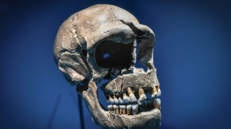 L'ADN hérité de Neandertal peut aggraver des formes de Covid-19