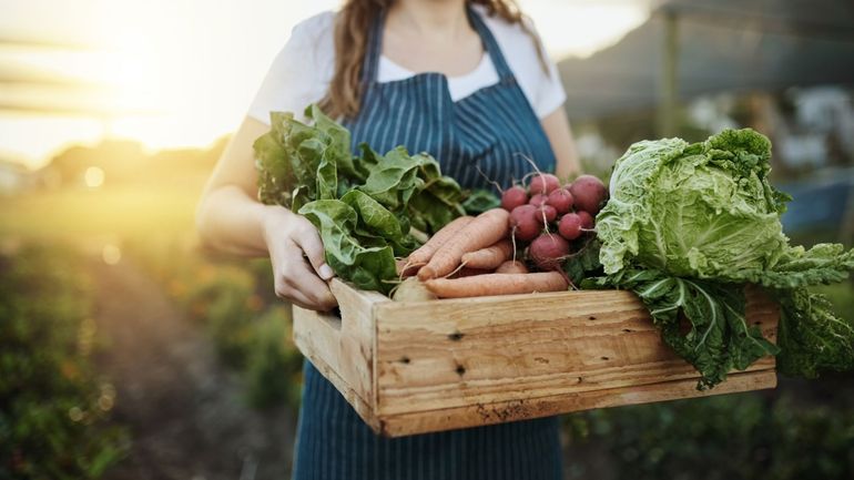 Quelles plateformes choisir pour manger local ?