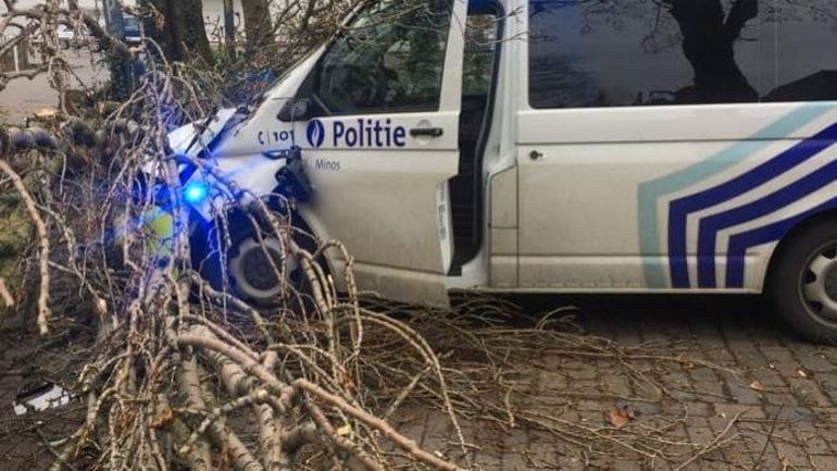 Déjà 130 appels pour les pompiers anversois: un arbre s'est même abattu sur un combi de police !