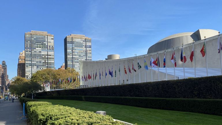 La Belgique quitte jeudi le Conseil de sécurité de l'ONU, une instance en crise face à la gestion de la pandémie