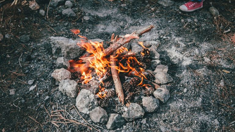 Un camp de scouts flamands près de Couvin arrêté en raison d'une infection au coronavirus