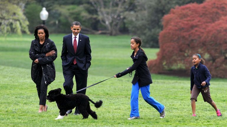 Mort de Bo, le chien de Barack Obama et star de la Maison blanche