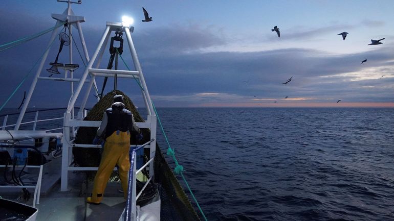 Brexit: les marins-pêcheurs belges demandent à l'UE de pouvoir continuer pêcher en eaux britanniques