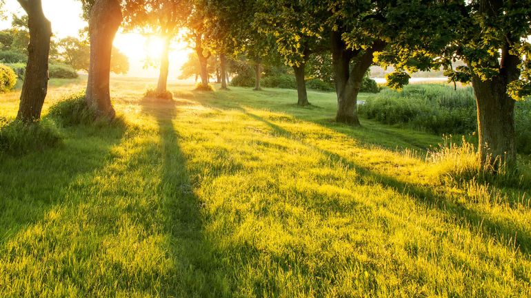 Louer son jardin : un concept qui séduit les Belges