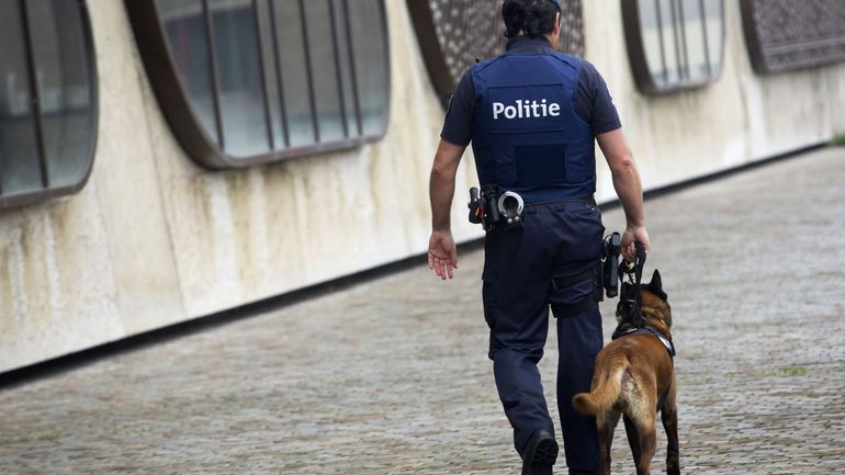 Trafic de cocaïne international démantelé : 16 arrestations et 54 perquisitions en Belgique