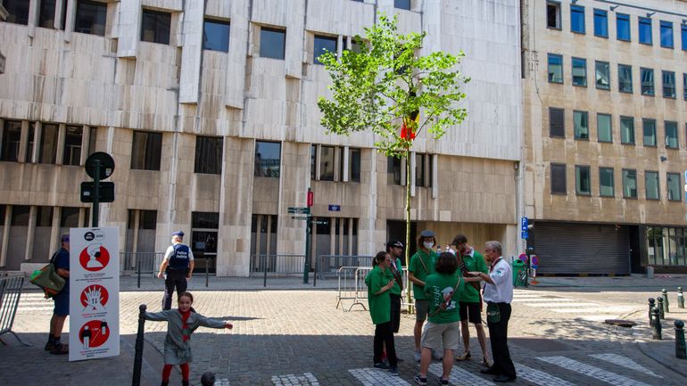 Bruxelles : le 712e Meyboom a été planté, sans public