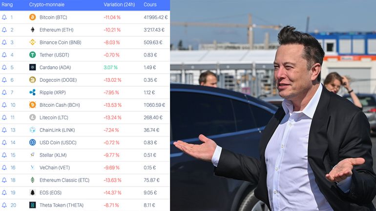 Les cryptomonnaies en chute libre après l'annonce d'Elon Musk sur le Bitcoin