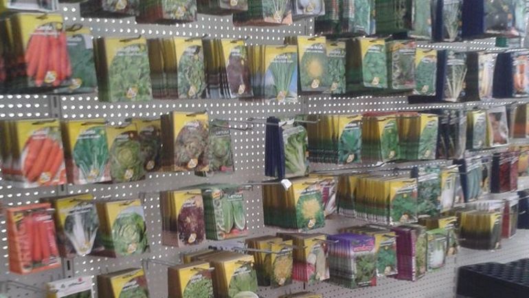 Les horticulteurs peuvent vous vendre semis et plantations, mais uniquement pour l'alimentaire : 