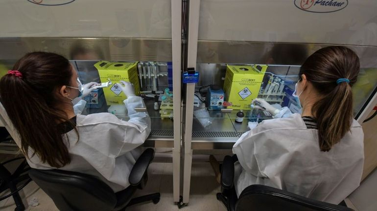 Coronavirus au Brésil : des tests génétiques pour un dépistage de masse