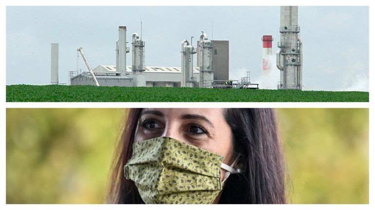 Ecologie : le soja et l'huile de palme bientôt exclus des biocarburants en Belgique