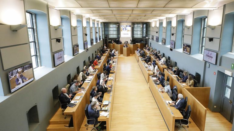 Traités de libre-échange: le Parlement de Wallonie approuve le traité controversé avec Oman