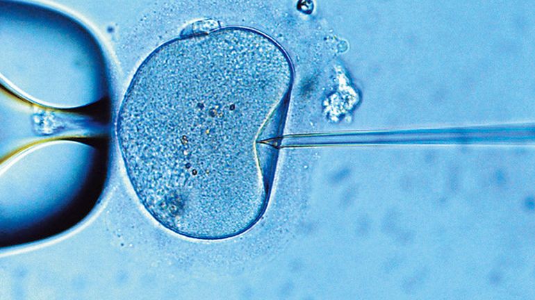 Coronavirus : l'épidémie stoppe les parcours de procréation médicalement assistée