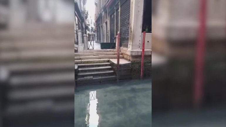 Coronavirus : à Venise, l'eau des canaux redevient limpide (vidéo)