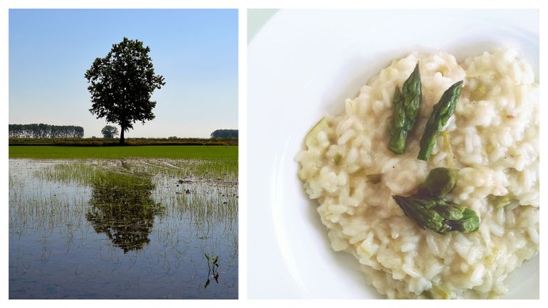 Coronavirus et risotto en Italie : quand la consommation de riz (italien) dépasse celle des pâtes