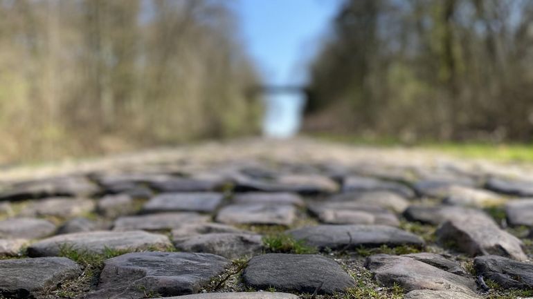 A la découverte d'un "Temple" du cyclisme : la Trouée d'Arenberg