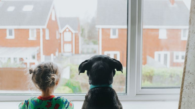 Une 4 façades à la campagne, le rêve ? 