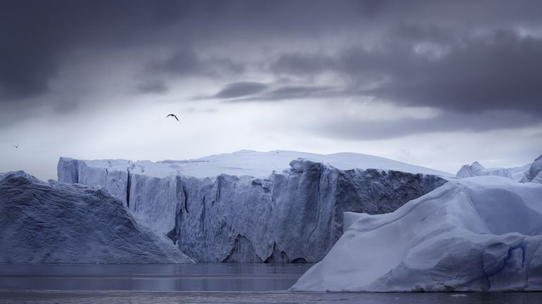 Un iceberg géant, qui représentait une menace pour l'écosystème de certaines îles, se brise
