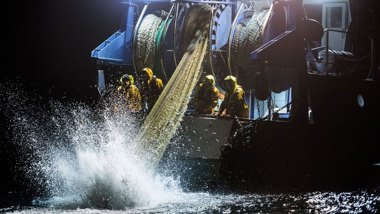 Belgique : la pire année de pêche jamais enregistrée