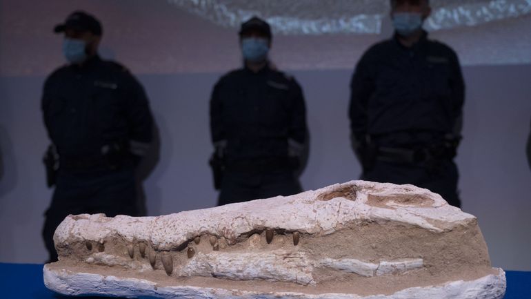 Après 15 ans de procédure, la France remet au Maroc près de 25.000 objets archéologiques pillés