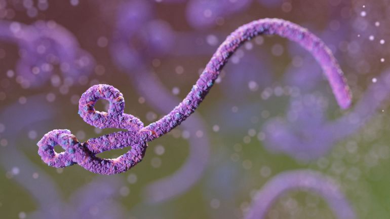 Ebola en RDC: aucun lien entre les deux épidémies en cours