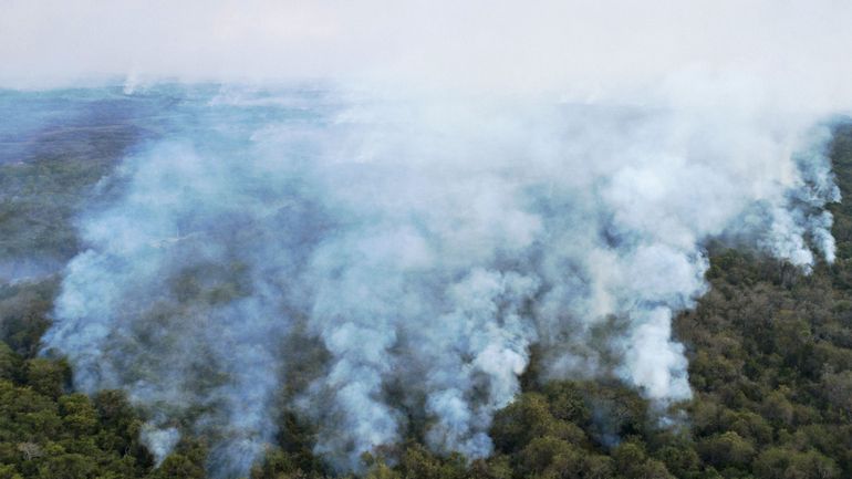L'Amazonie brésilienne condamnée à brûler tout l'été