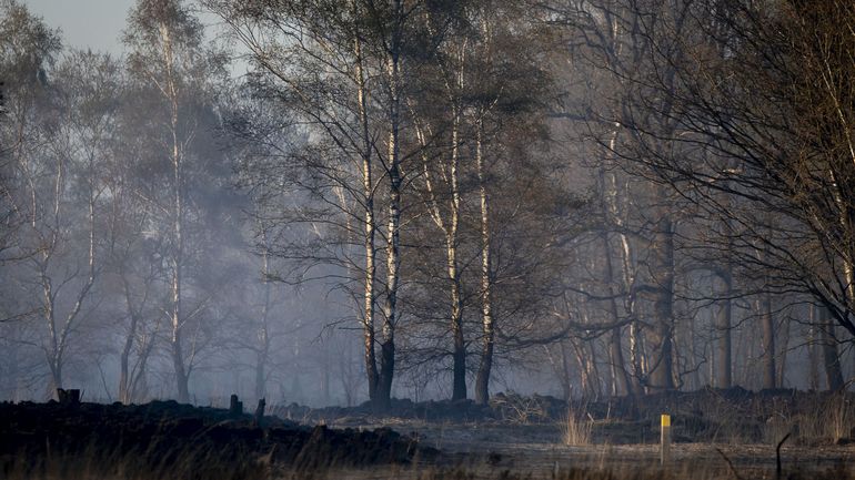 Incendie au domaine militaire de Brecht: l'interdiction de fumer dans les réserves naturelles est décrétée en province d'Anvers