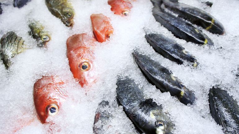 Le prix du poisson en baisse à cause du confinement