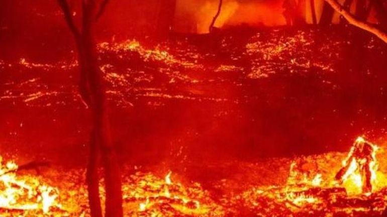 Des milliers de personnes évacuées en Californie en raison d'un incendie de forêt