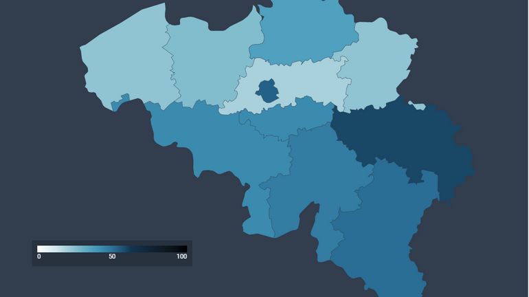 60% des lits de soins intensifs occupés en province de Liège, plus de 50% à Bruxelles et en Luxembourg, mais ça monte aussi à Anvers (carte)