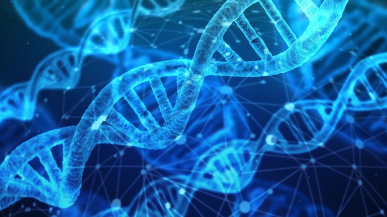 À l'avenir, les données devraient être stockées dans de l'ADN : gain de place et sauvegarde de longue durée