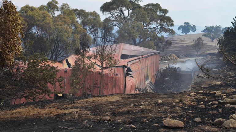 Comment aider financièrement les victimes des incendies en Australie?