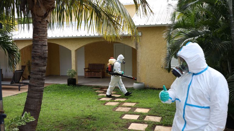 L'île de La Réunion souffre d'une autre épidémie en plus du covid 19 : la dengue