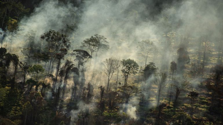 15.000 feux en 15 jours : les incendies en Amazonie se poursuivent malgré l'interdiction