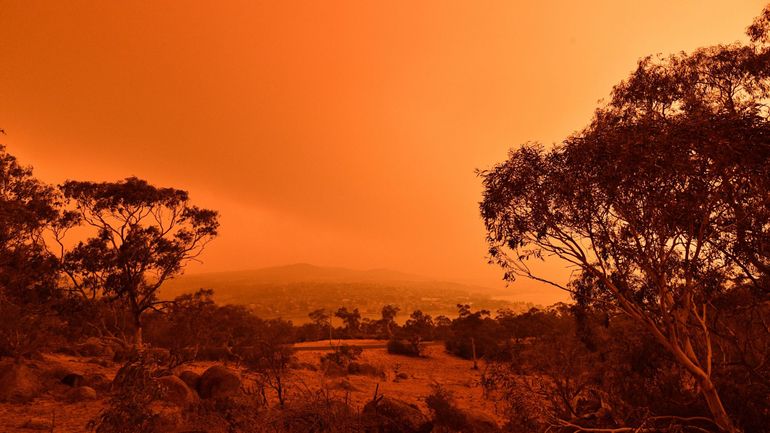 Incendies en Australie: de faibles pluies apportent un maigre répit sans contribuer à éteindre les brasiers
