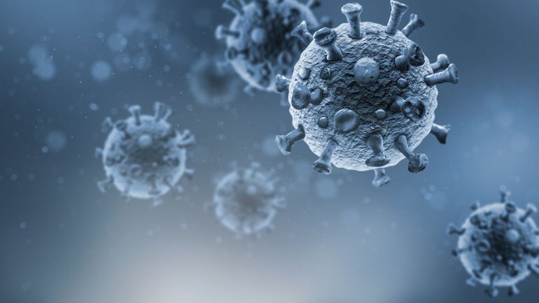 Coronavirus en Belgique : le nombre moyen d'infections double en une semaine et atteint 448 par jour
