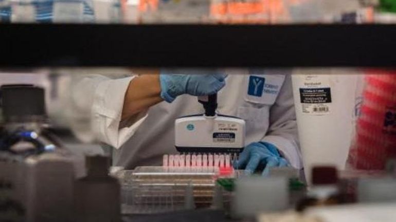 Des scientifiques belges parviennent à identifier les cellules plus invasives du cancer de la peau