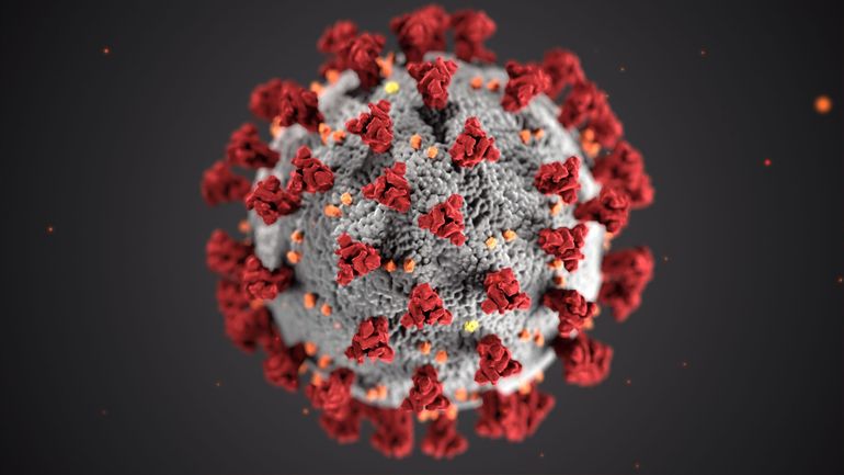 Nouvelle variante du coronavirus : 