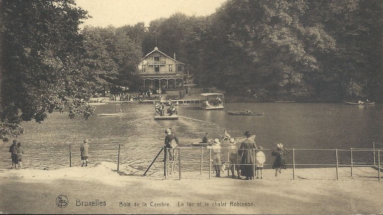 Le Bois de la Cambre, 160 ans d'existence et un rapport très compliqué à la voiture