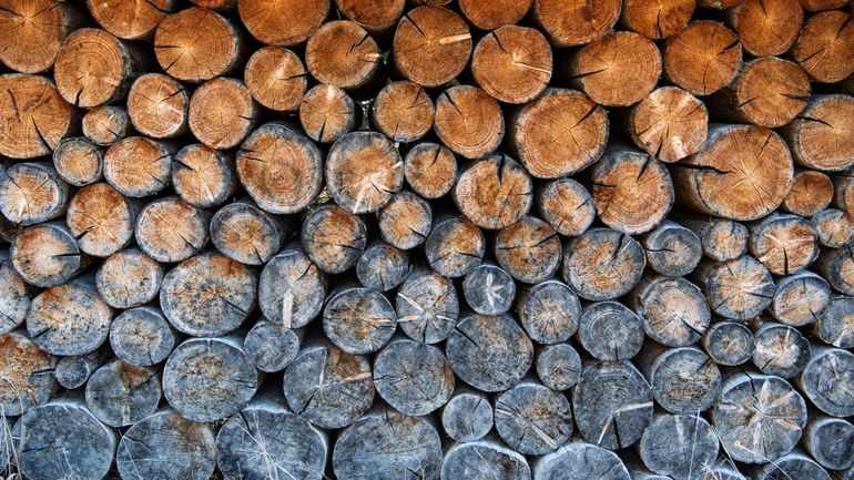 Le bois de chauffage plus cher que le mazout et le gaz ?