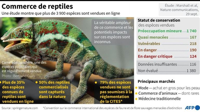 Le commerce non-réglementé de reptiles menace la biodiversité