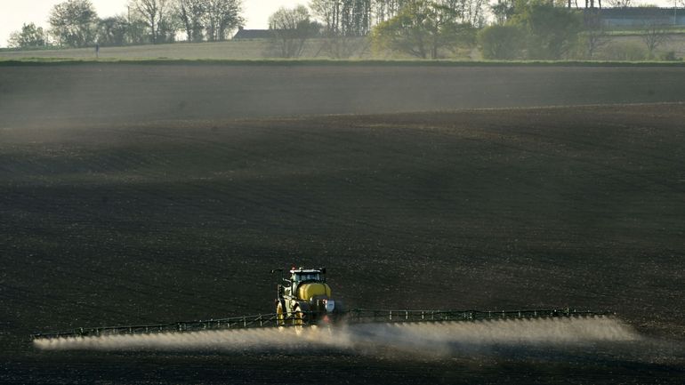 Roundup: une condamnation de Monsanto confirmée en appel en Californie