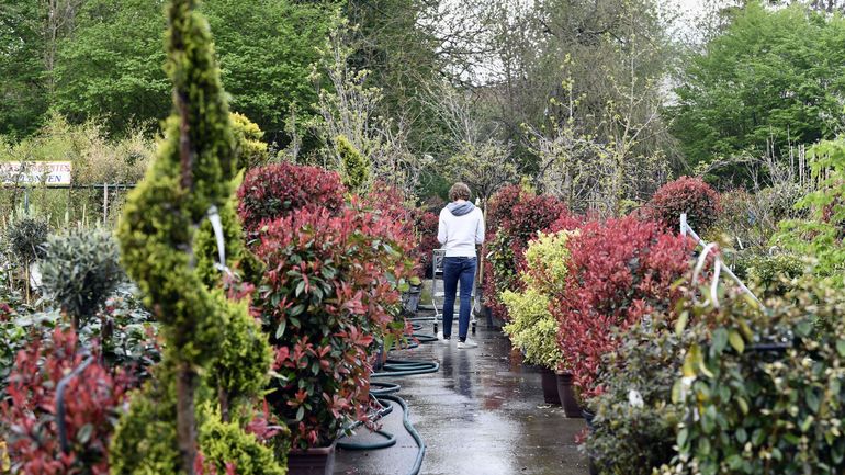 Le printemps vous invite à planter dans un sol encore frais