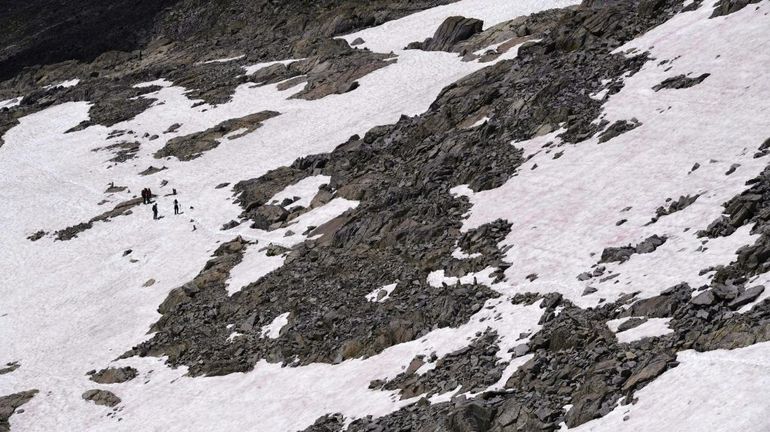 La mystérieuse neige rose d'un glacier des Alpes italiennes