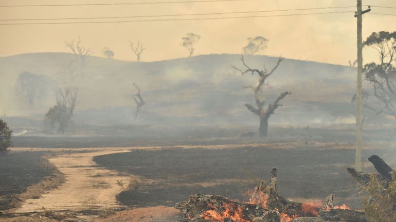 Australie: tous les incendies de Nouvelle-Galles du Sud sont à présent sous contrôle