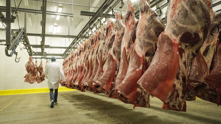 Le steak d'aloyau, péril libre-échangiste pour la filière bovine wallonne