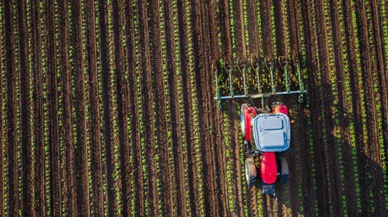 Agriculture : Pourquoi des alternatives naturelles aux produits chimiques ne dominent pas (encore) le marché