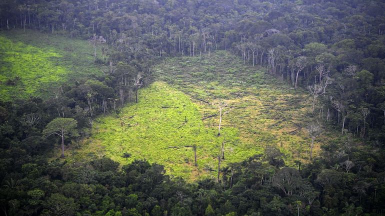 Accord UE-Mercosur : la France n'en veut pas pour cause de déforestation