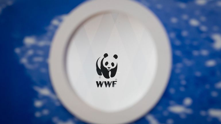 Le WWF souffle ses 60 bougies et lance le 