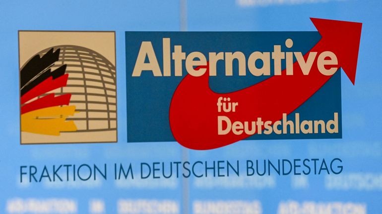 Allemagne : un tribunal suspend la surveillance policière du parti d'extrême droite AfD